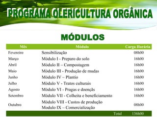 Mês Módulo Carga Horária
Fevereiro Sensibilização 08h00
Março Módulo I - Preparo do solo 16h00
Abril Módulo II – Compostagem 16h00
Maio Módulo III - Produção de mudas 16h00
Junho Módulo IV – Plantio 16h00
Julho Módulo V - Tratos culturais 16h00
Agosto Módulo VI - Pragas e doençãs 16h00
Setembro Módulo VII - Colheita e beneficiamento 16h00
Outubro
Módulo VIII - Custos de produção
Modulo IX – Comercialização
08h00
Total 136h00
 