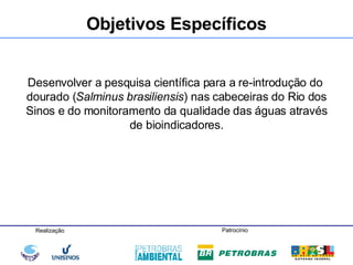 Desenvolver a pesquisa científica para a re-introdução do  dourado ( Salminus brasiliensis ) nas cabeceiras do Rio dos Sinos e do monitoramento da qualidade das águas através de bioindicadores. Objetivos Específicos 