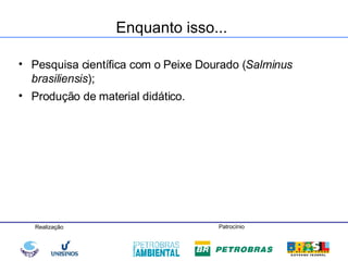Enquanto isso... Pesquisa científica com o Peixe Dourado ( Salminus brasiliensis ); Produção de material didático. 