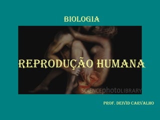 Biologia
RepRodução Humana
pRof. deivid CaRvalHo
 