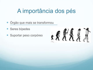 A importância dos pésÓrgão que mais se transformouSeres bípedesSuportar peso corpóreo