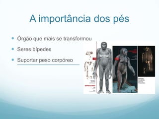 A importância dos pésÓrgão que mais se transformouSeres bípedesSuportar peso corpóreo