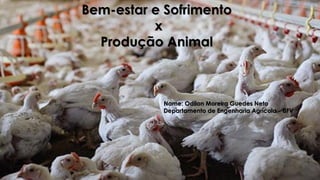 Bem-estar e Sofrimento
x
Produção Animal
Nome: Odilon Moreira Guedes Neto
Departamento de Engenharia Agrícola - UFV
 