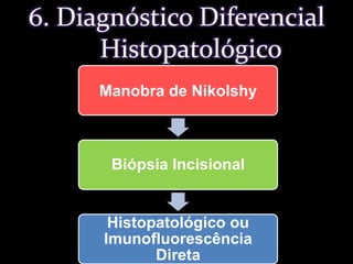 6. Diagnóstico DiferencialHistopatológico