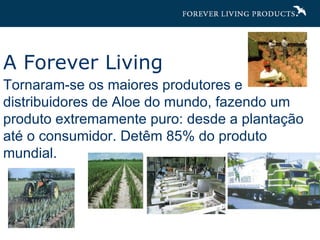 A Forever Living Tornaram-se os maiores produtores e distribuidores de Aloe do mundo, fazendo um produto extremamente puro: desde a plantação até o consumidor. Detêm 85% do produto mundial. 