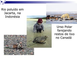 Rio poluído em
  Jacarta, na
   Indonésia


                   Urso Polar
                   farejando
                 restos de lixo
                  no Canadá
 