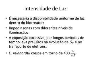 Intensidade de Luz 
• É necessária a disponibilidade uniforme de luz 
dentro do biorreator; 
• Impedir zonas com diferentes níveis de 
iluminação; 
• A exposição excessiva, por longos períodos de 
tempo leva prejuízos na evolução de 푂2 e no 
transporte de elétrons; 
• C. reinhardtii cresce em torno de 400 
푊 
푚2. 
