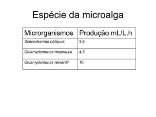 Espécie da microalga 
Microrganismos Produção mL/L.h 
Scenedesmas obliquus 3,6 
Chlamydomonas moewussi 4,5 
Chlamydomonas reinardii 10 
 