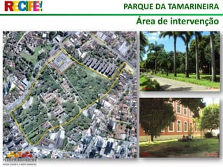 PARQUE DA TAMARINEIRAÁrea de intervenção
