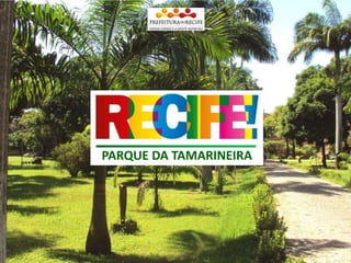20 Praças (Academias da Cidade) -			16,4 haParque ApipucosRPA 3Parque do CaiaraSítio da TrindadeRPA 2Parque TamarineiraParque da JaqueiraRPA 4Parque de SantanaRPA 1Consolidação de uso públicoJaqueira, Sítio da Trindade e Jardim Botânico - 131,3 haJardim BotânicoRPA 5Parque do JiquiáParque dos ManguezaisInvestimentos totais até 2012 		R$ 145 milhõesOrla – Boa Viagem e PinaRPA 6Parque Dona Lindu