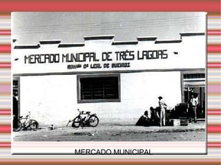MERCADO MUNICIPAL   