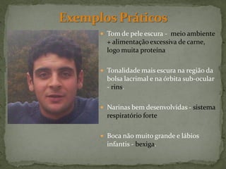  Tom de pele escura - meio ambiente
  + alimentação excessiva de carne,
  logo muita proteína

 Tonalidade mais escura na região da
  bolsa lacrimal e na órbita sub-ocular
  - rins.

 Narinas bem desenvolvidas - sistema
  respiratório forte

 Boca não muito grande e lábios
  infantis - bexiga.
 