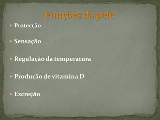  Protecção


 Sensação


 Regulação da temperatura


 Produção de vitamina D


 Excreção
 