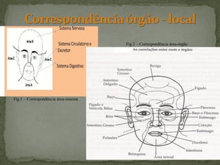 Fig.2 – Correspondência área-órgão




Fig.1 – Correspondência área-sistema
 