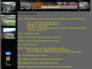 Propostas Gestão Incentivos Financeiros AGRIS – Medida Agricultura e Desenvolvimento Rural dos Programas Operacionais Regionais (ON) Acção 1 – Diversificação da Pequena Agricultura Sub-acção 6.1 – Caminhos Agrícolas e Rurais Sub-acção 6.2 – Electrificação Sub-acção 7.1 – Recuperação e Valorização do Património, da Paisagem e dos Núcleos Populacionais em Meio Rural EQUAL – Iniciativa Comunitária Interreg. – Iniciativa Comunitária de Cooperação Transeuropeia LEADER+ - Iniciativa Comunitária de Desenvolvimento Rural LIFE – Iniciativa Comunitária RURIS – Plano de Desenvolvimento Rural - Medidas Agro-ambientais Grupo II – Medida 2.1. – Qualificação da Envolvente de Aldeias Grupo II – Medida 2.2. – Qualificação dos espaços naturais para usufruto público POA – Programa Operacional do Ambiente SIPIE – Sistema de Incentivos a Pequenas Iniciativas Empresariais SIME – Sistema de Incentivos à Modernização Empresarial SIVETUR – Sistema de Incentivos a Produtos Turísticos de Vocação Estratégica 
