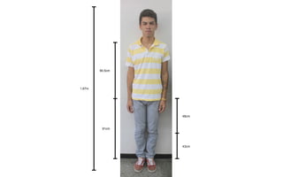 90,5cm




1,87m




                 48cm


         91cm




                 43cm
 