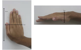 3 cm
21 cm




        11 cm
 