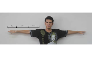 18 cm   26 cm   36 cm
 