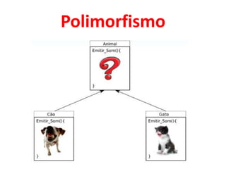 Polimorfismo
 