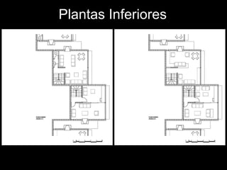 Plantas Inferiores  