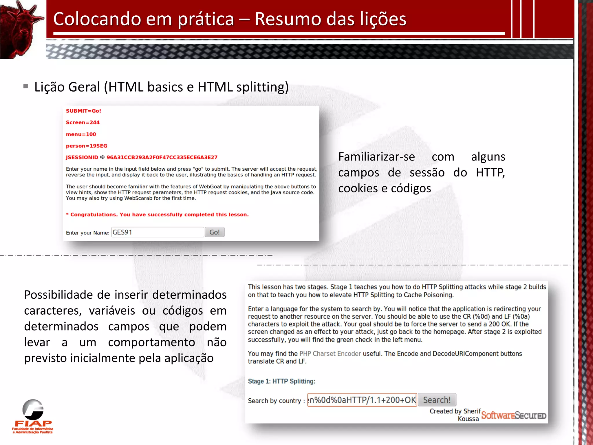 Colocando em prática – Resumo das lições


 Lição Geral (HTML basics e HTML splitting)



                                               Familiarizar-se com alguns
                                               campos de sessão do HTTP,
                                               cookies e códigos




Possibilidade de inserir determinados
caracteres, variáveis ou códigos em
determinados campos que podem
levar a um comportamento não
previsto inicialmente pela aplicação
 