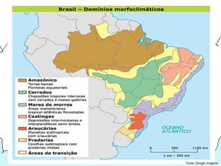 Fonte: Google imagens
 