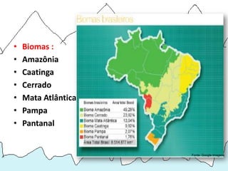 •   Biomas :
•   Amazônia
•   Caatinga
•   Cerrado
•   Mata Atlântica
•   Pampa
•   Pantanal


                     Fonte: Google imagens
 