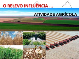 O RELEVO INFLUÊNCIA ...
              ATIVIDADE AGRÍCOLA




                           Fonte: Google imagens
 