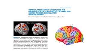 Comonossocérebroaprende?
 