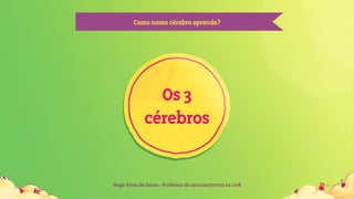 Hugo Alves de Sousa - Professor de neuroanatomia na UnB
Comonossocérebroaprende?
Os3
cérebros
 