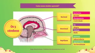 Hugo Alves de Sousa - Professor de neuroanatomia na UnB
Comonossocérebroaprende?
Raciocínio
Decisão
Planejamento
Criatividade
Emocional
Ira
Alegria
Tristeza
Medo
Instintos
Sobrevivência
Agressividade
Territorialidade
Reptiliano
Os3
cérebros
Racional
 