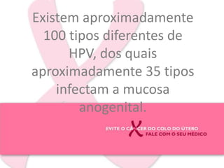 Existem aproximadamente 100 tipos diferentes de HPV, dos quais aproximadamente 35 tipos infectam a mucosa anogenital.