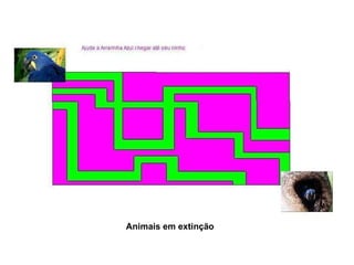 Animais em extinção