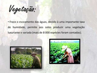 Cultura e ArteO espanhol é a língua oficial da Cuba mas, como todos os países da América Latina, comporta do vocabulário de origem africana ou indiana.	Os católicos representam a maioria da população cubana, 33% da qual declara-se praticante.	A escola é obrigatória e gratuita para as crianças dos 	6 aos 12 anos.	Cuba é um país de longa tradição musical: 	ao som dos instrumentos africanos (bongo, conga),	dançam-se o bembéou o caringa.	Certas músicas folclóricas, como o rumba, 	o salsa, o sóne o punto, sofreram influências europeias.