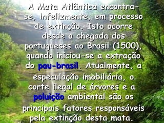 A Mata Atlântica encontra-se, infelizmente, em processo de extinção. Isto ocorre desde a chegada dos portugueses ao Brasil (1500), quando iniciou-se a extração do  pau-brasil . Atualmente, a especulação imobiliária, o corte ilegal de árvores e a  poluição  ambiental são os principais fatores responsáveis pela extinção desta mata.  