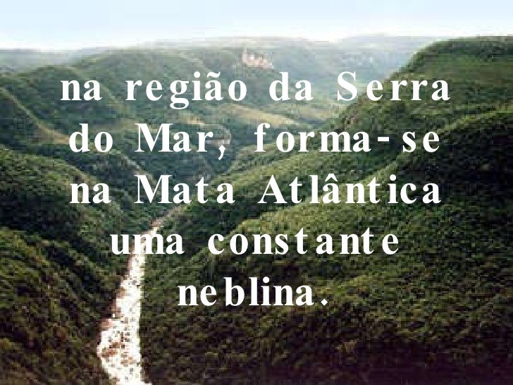 Resultado de imagem para Na região da Serra do Mar, forma-se na Mata Atlântica uma constante neblina