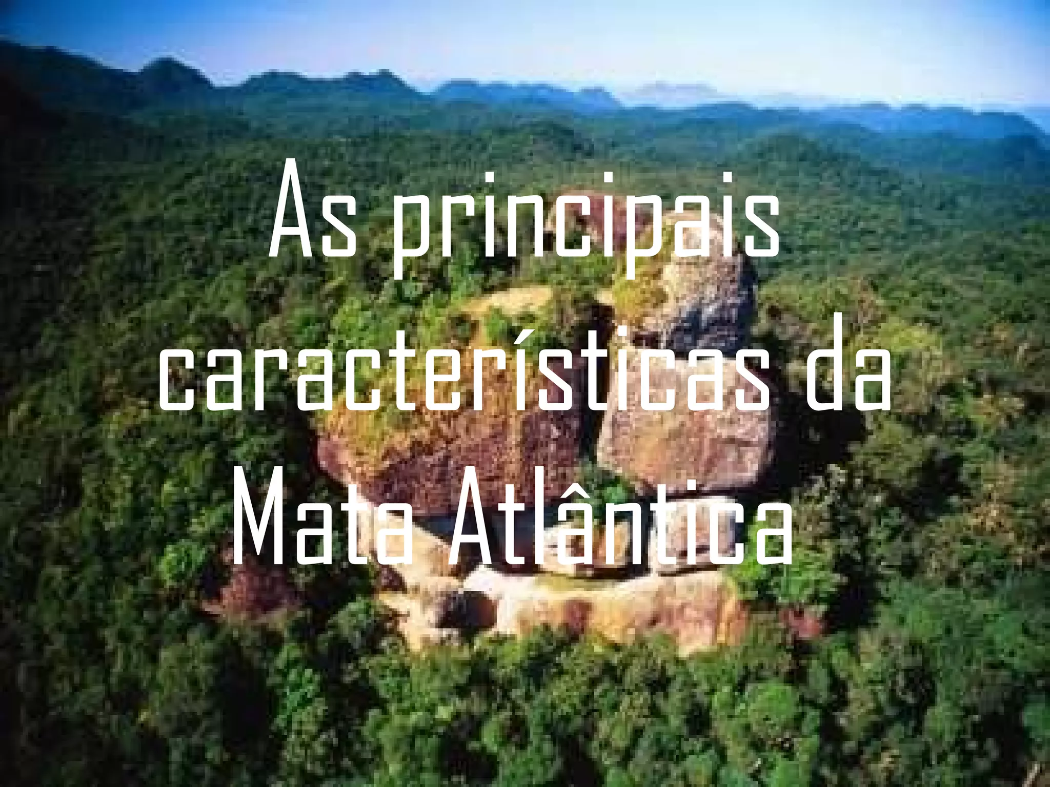 As principais características da Mata Atlântica  
