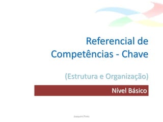 Referencial de
Competências - Chave
  (Estrutura e Organização)
                    Nível Básico


    Joaquim Pinto
 