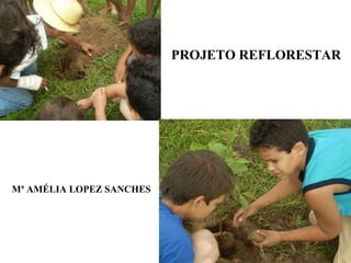 PROJETO REFLORESTAR Mª AMÉLIA LOPEZ SANCHES 