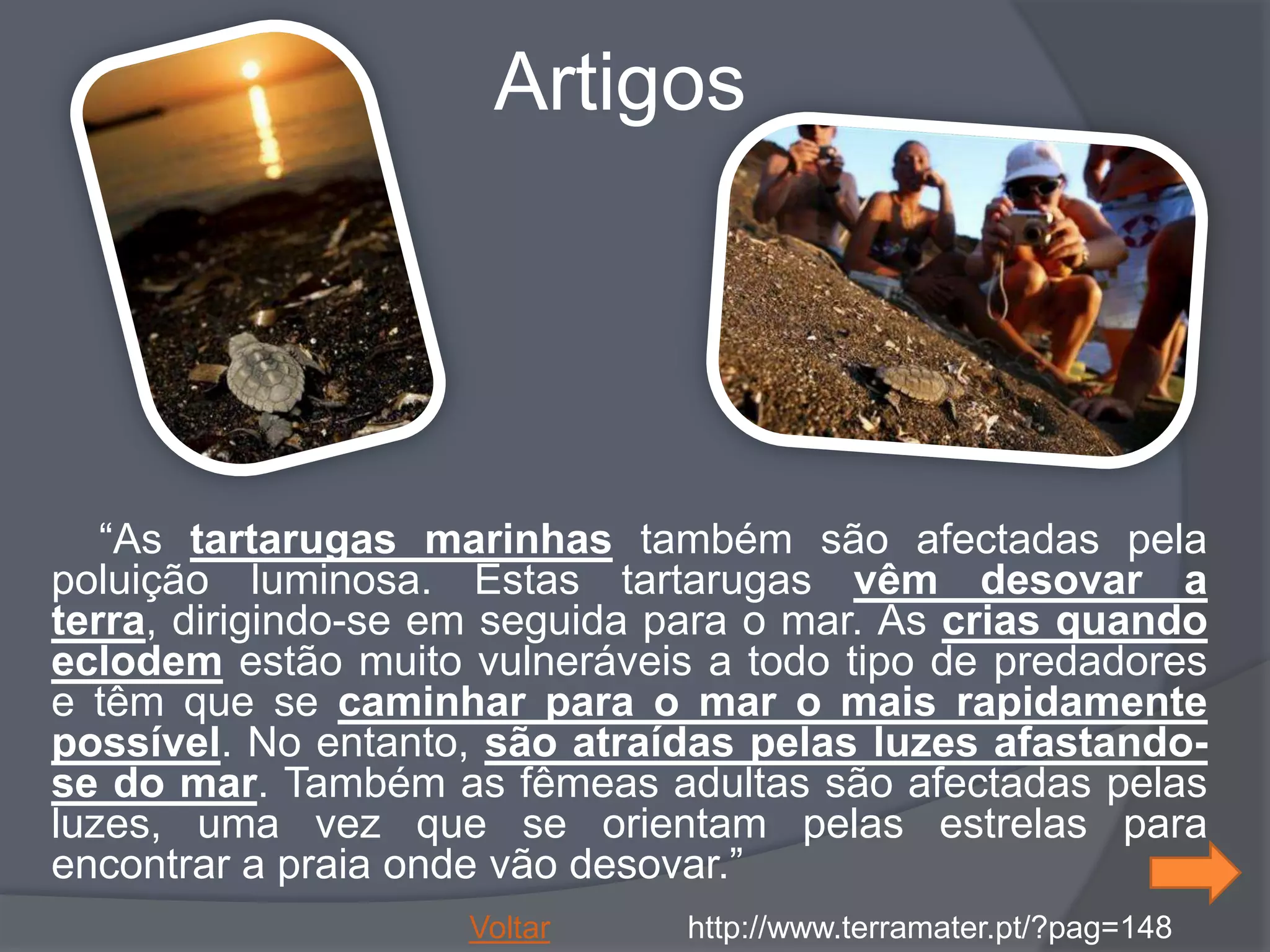 Artigos




   “As tartarugas marinhas também são afectadas pela
poluição luminosa. Estas tartarugas vêm desovar a
terra, dirigindo-se em seguida para o mar. As crias quando
eclodem estão muito vulneráveis a todo tipo de predadores
e têm que se caminhar para o mar o mais rapidamente
possível. No entanto, são atraídas pelas luzes afastando-
se do mar. Também as fêmeas adultas são afectadas pelas
luzes, uma vez que se orientam pelas estrelas para
encontrar a praia onde vão desovar.”
                    Voltar     http://www.terramater.pt/?pag=148
 