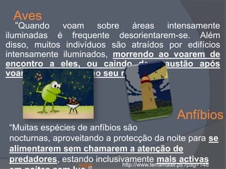 Aves
  “Quando    voam sobre áreas intensamente
iluminadas é frequente desorientarem-se. Além
disso, muitos indivíduos são atraídos por edifícios
intensamente iluminados, morrendo ao voarem de
encontro a eles, ou caindo de exaustão após
voarem em círculos ao seu redor.”



                                                Anfíbios
“Muitas espécies de anfíbios são
nocturnas, aproveitando a protecção da noite para se
alimentarem sem chamarem a atenção de
predadores, estando inclusivamente mais activas
                 Voltar     http://www.terramater.pt/?pag=148
 