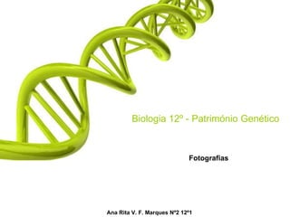 Biologia 12º - Património Genético Fotografias Ana Rita V. F. Marques Nº2 12º1 