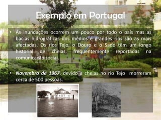 Exemplo em PortugalAs inundações ocorrem um pouco por todo o país mas as bacias hidrográficas dos médios e grandes rios são as mais afectadas. Os rios Tejo, o Douro e o Sado têm um longo historial de cheias, frequentemente reportadas na comunicação social.Novembro de 1967,devido a cheias no rio Tejo  morreram cerca de 500 pessoas.