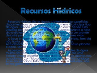 Recursos florestais: são os produtos que podemos obter das florestas como alimentos, matérias-primas e lazer;