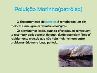 Poluição Marinha(petróleo)O derramamento de petróleo é considerado um dos maiores e mais graves desastres ecológicos. 	Os ecossistemas locais, quando afectados, só conseguem se recompor após dezenas de anos, desde que sejam 'limpos' rapidamente e desde que não haja mais nenhum outro problema sério nesse longo período.