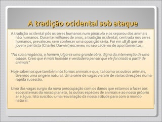 A tradição ocidental sob ataque A tradição ocidental pôs os seres humanos num pináculo e os separou dos animais não humanos. Durante milhares de anos, a tradição ocidental, centrada nos seres humanos, prevaleceu sem conhecer uma oposição séria. Foi em 1838 que um jovem cientista (Charles Darwin) escreveu no seu caderno de apontamentos: “ Na sua arrogância, o homem julga-se uma grande obra, digna da intervenção de uma cidade. Creio que é mais humilde e verdadeiro pensar que ele foi criado a partir de animais” Hoje sabemos que também nós fomos animais e que, tal como os outros animais, tivemos uma origem natural. Uma série de vagas vieram de várias direcções numa rápida sucessão. Uma das vagas surgiu da nova preocupação com os danos que estamos a fazer aos ecossistemas do nosso planeta, às outras espécies de animais e ao nosso próprio ar e água. Isto suscitou uma reavaliação da nossa atitude para com o mundo natural. 
