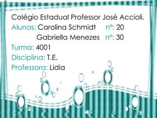 Colégio Estadual Professor José Accioli.
Alunas: Carolina Schmidt nº: 20
         Gabriella Menezes nº: 30
Turma: 4001
Disciplina: T.E.
Professora: Lidia
 