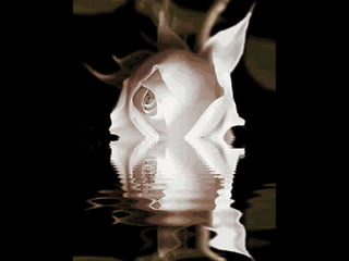 FOTOS  COM  A MÚSICA BRINCAR DE VIVER