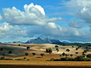 FOTOS  COM  A MÚSICA BRINCAR DE VIVER