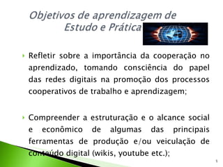 Refletir sobre a importância da cooperação no aprendizado, tomando consciência do papel das redes digitais na promoção dos processos cooperativos de trabalho e aprendizagem; Compreender a estruturação e o alcance social e econômico de algumas das principais ferramentas de produção e/ou veiculação de conteúdo digital (wikis, youtube etc.); 
